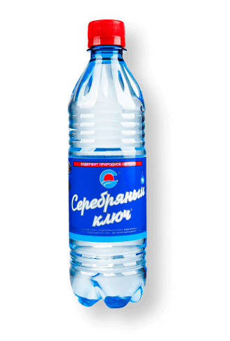 "Бехтемирская Минеральная вода - Серебряный ключ" негазированная 0,5 л